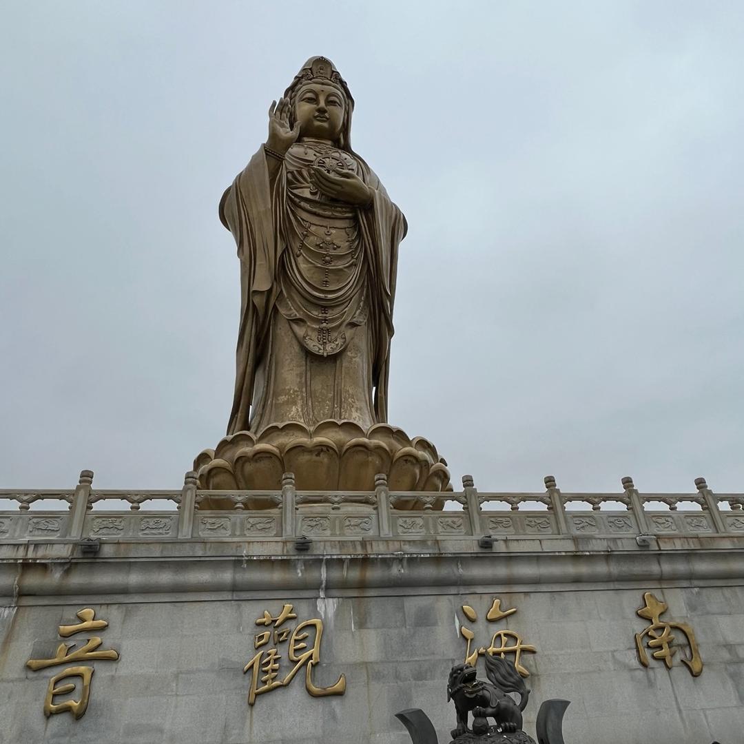 一起喵喵喵喵