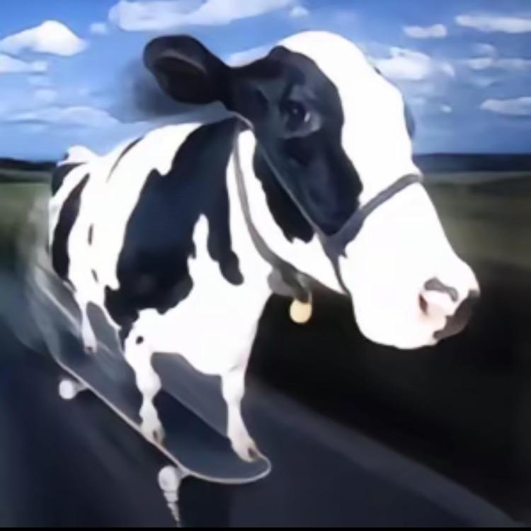 脚踝快点好吧
