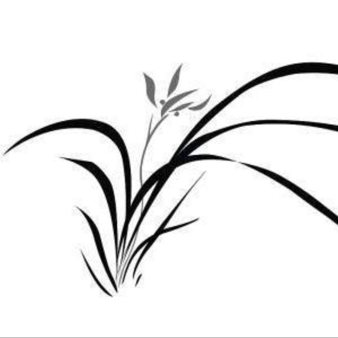 兰公子(苗木)