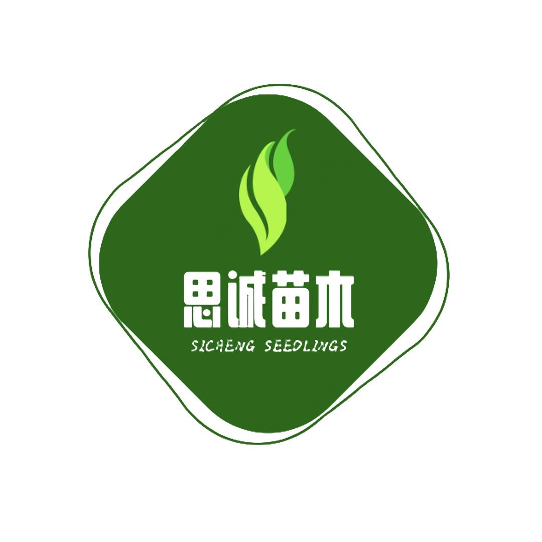 大别山思诚苗木基地