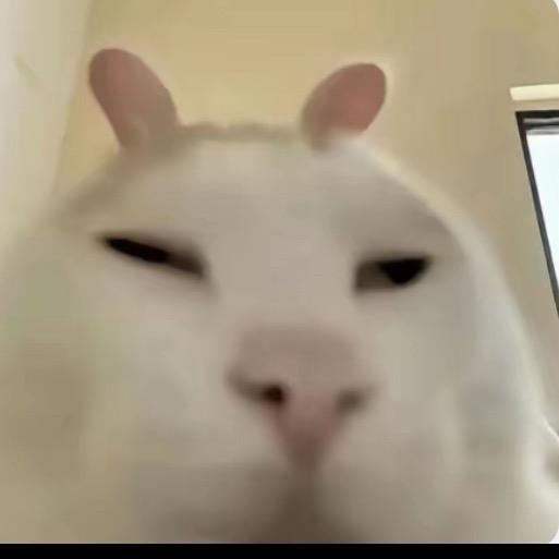 躺平天花板