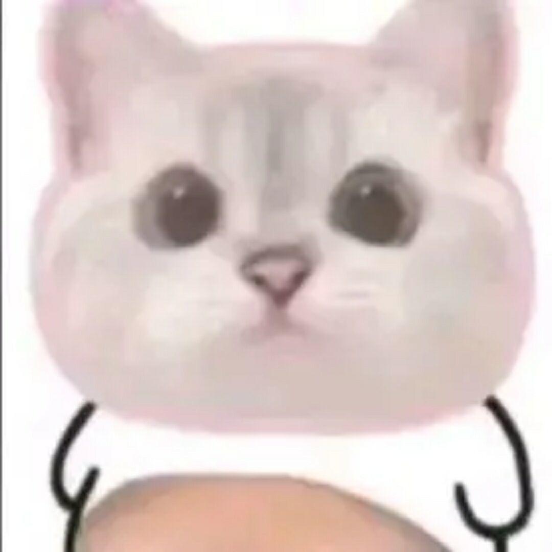 bbb