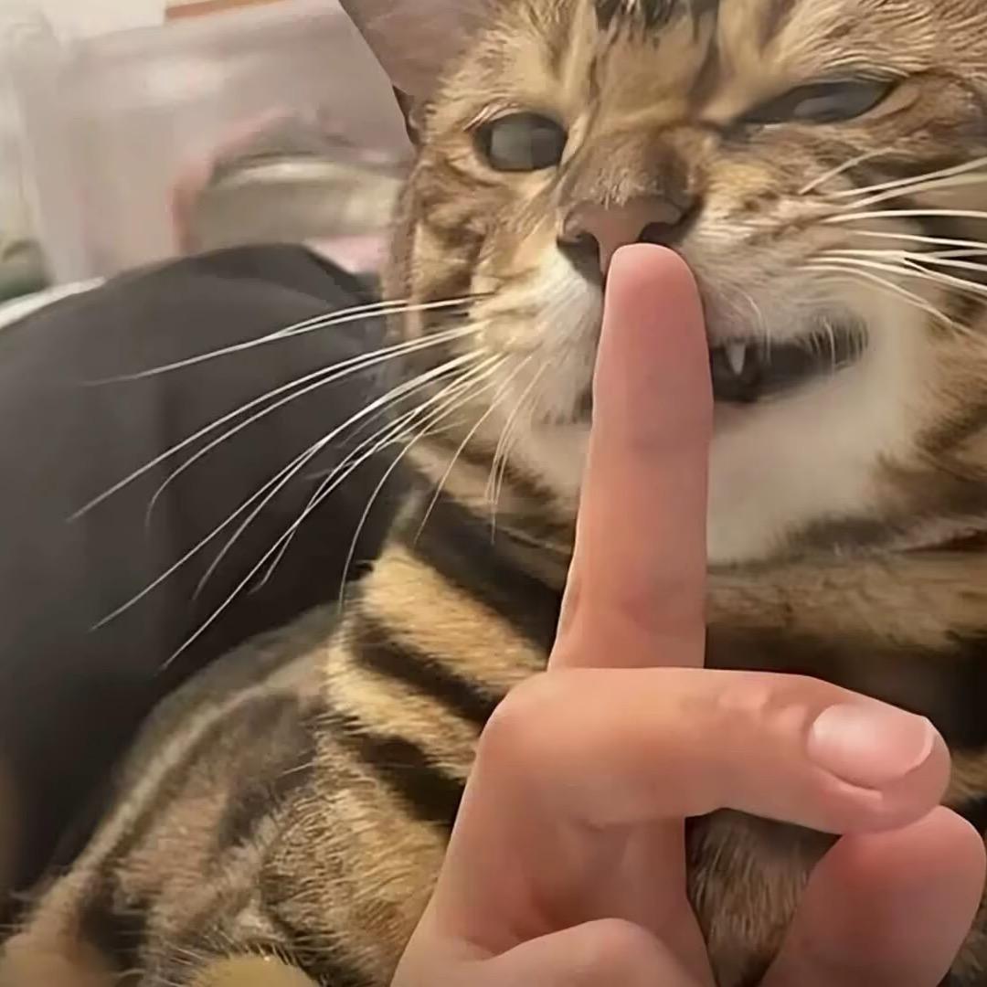 T.