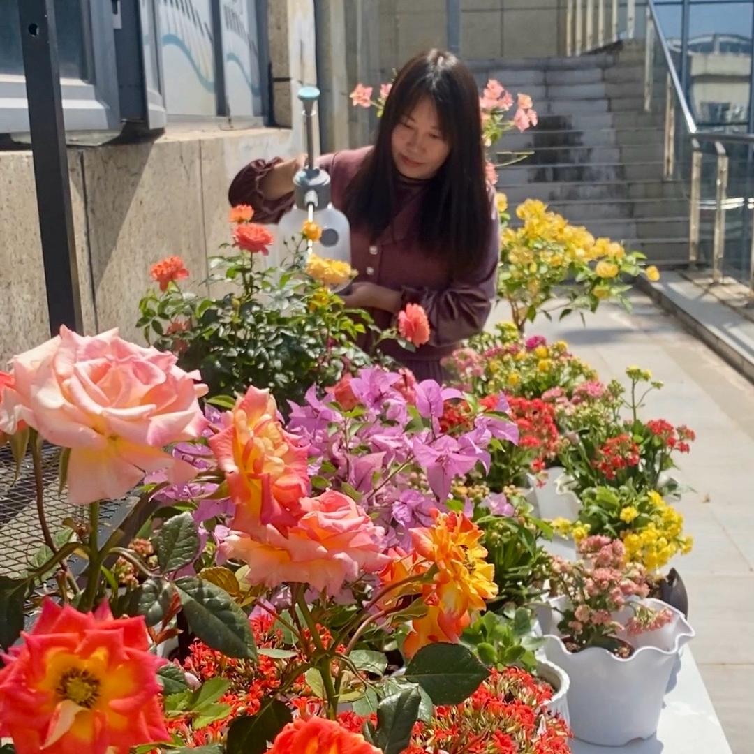 玲子爱养花