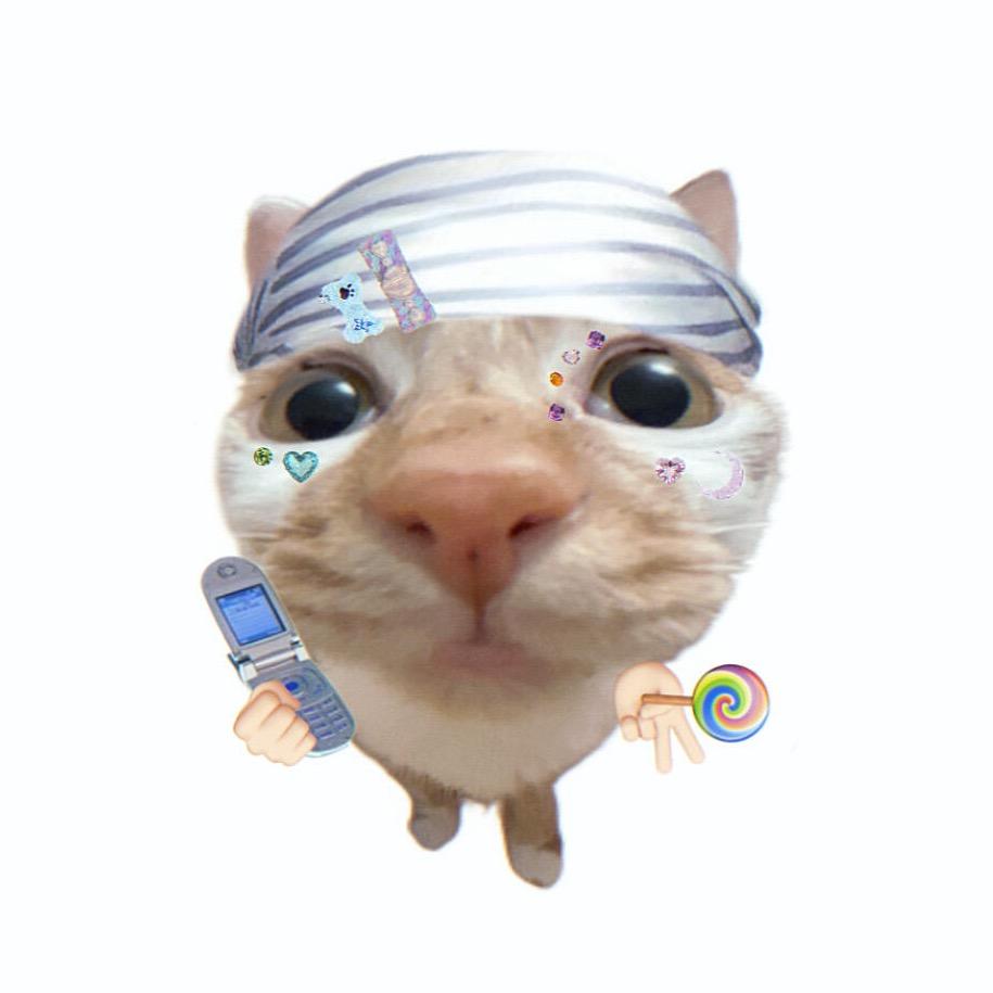 星之可比