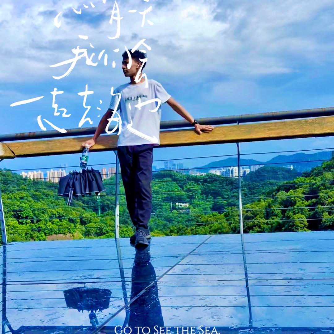 树读⁵²⁰（北极光）🌠