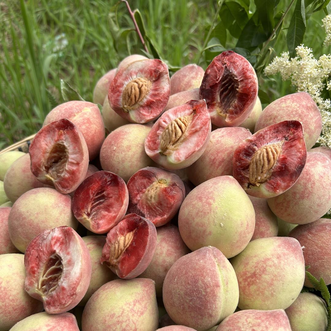 贵州黔味家乡电子商务有限公司企业店