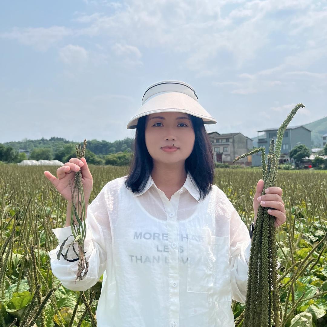 兰京农业