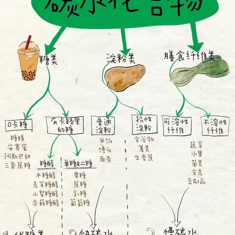 老胡教你做减脂