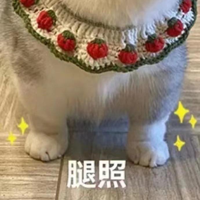 爱吐泡泡的高一