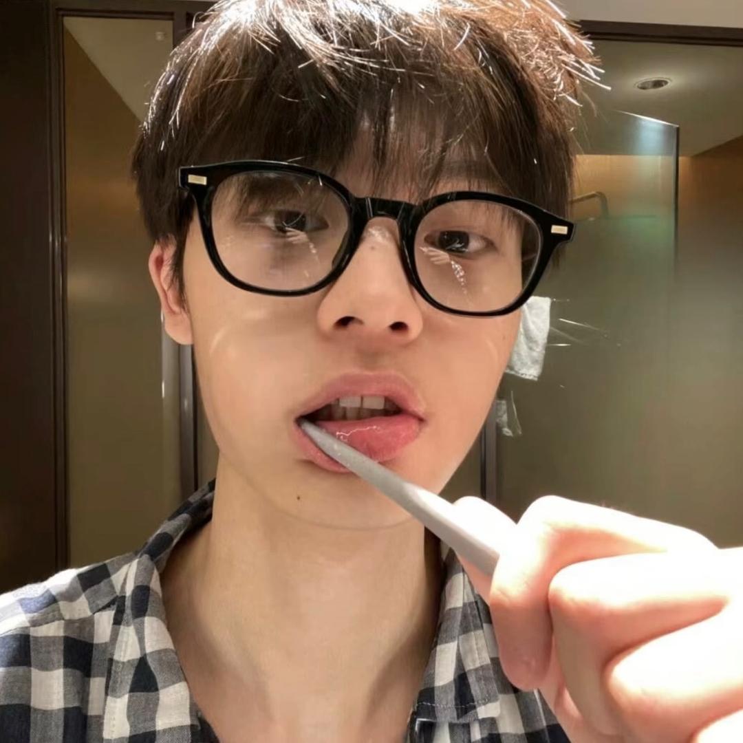 可惜南方没有雪-