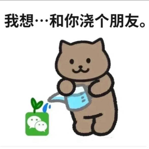 苏晨