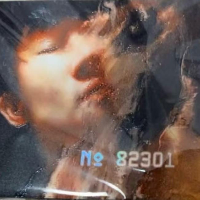 裂缝中的阳光是Wonderland之光