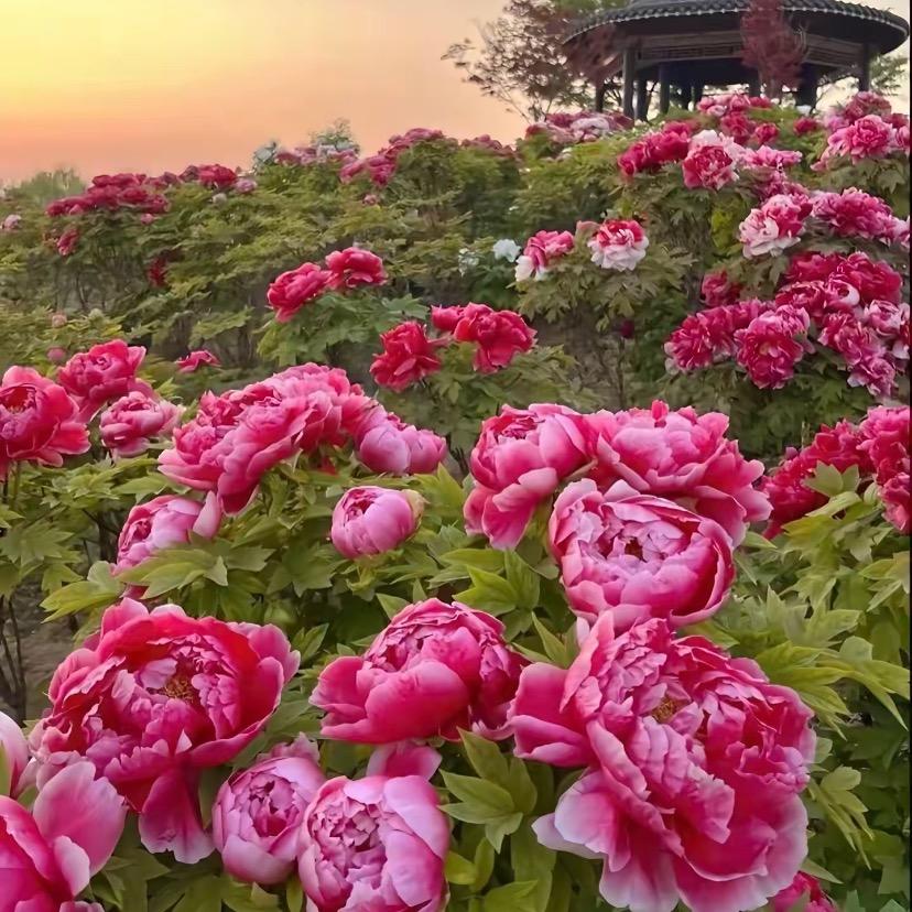笑对人生
