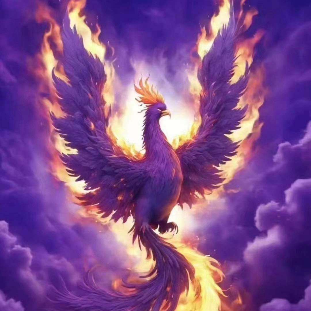 🐲景鸿御美🐦‍🔥