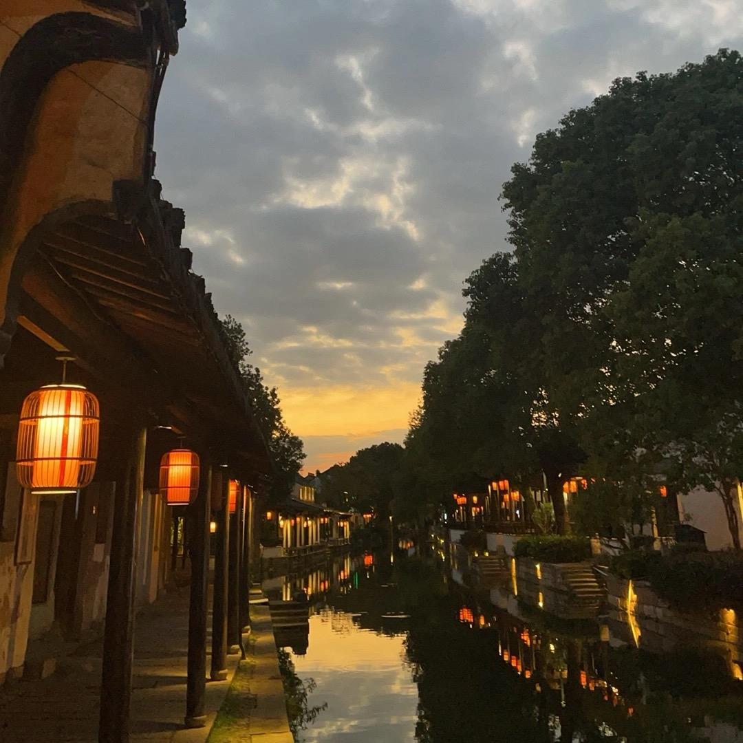 林深情