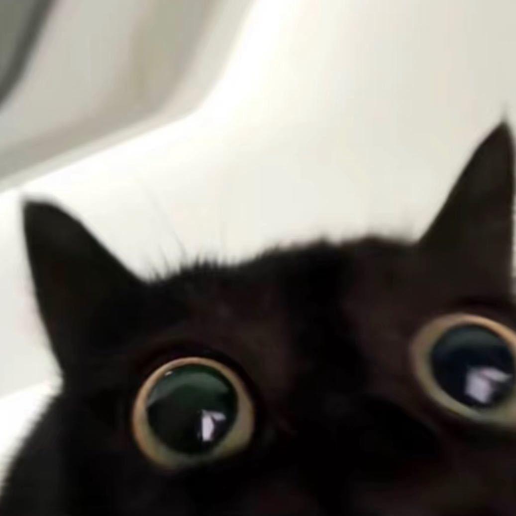 追平