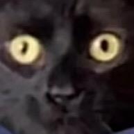 🟦🟦🟦🟦🟦🟦