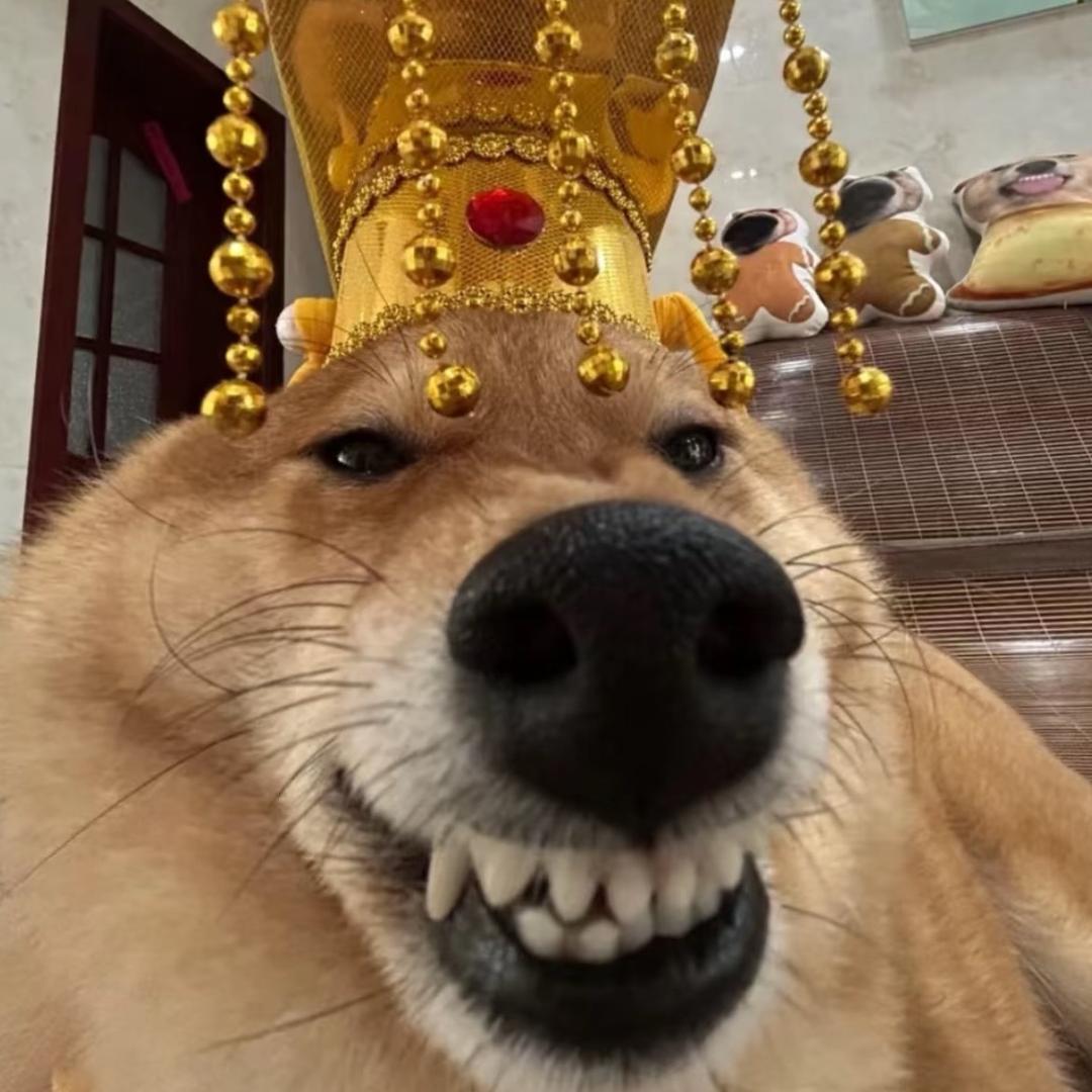 9️⃣