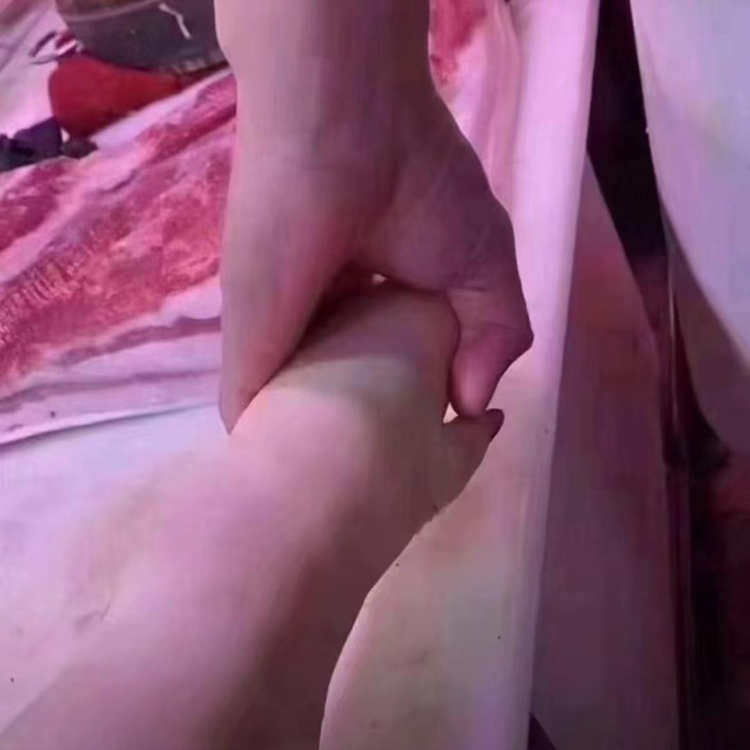 熏悟空三打科兴疫苗