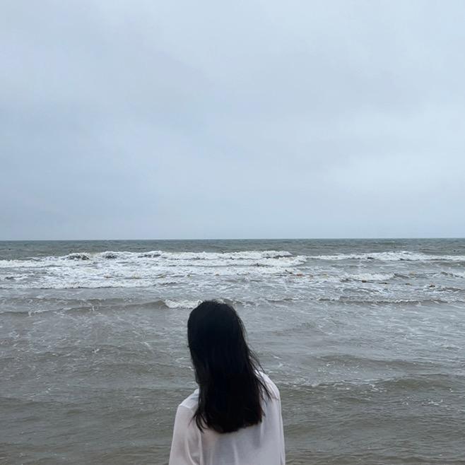 小洋洋3