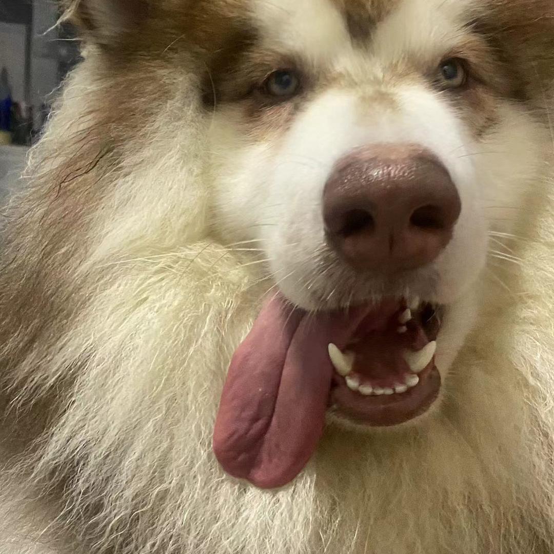 小王同学（00后创业养殖）