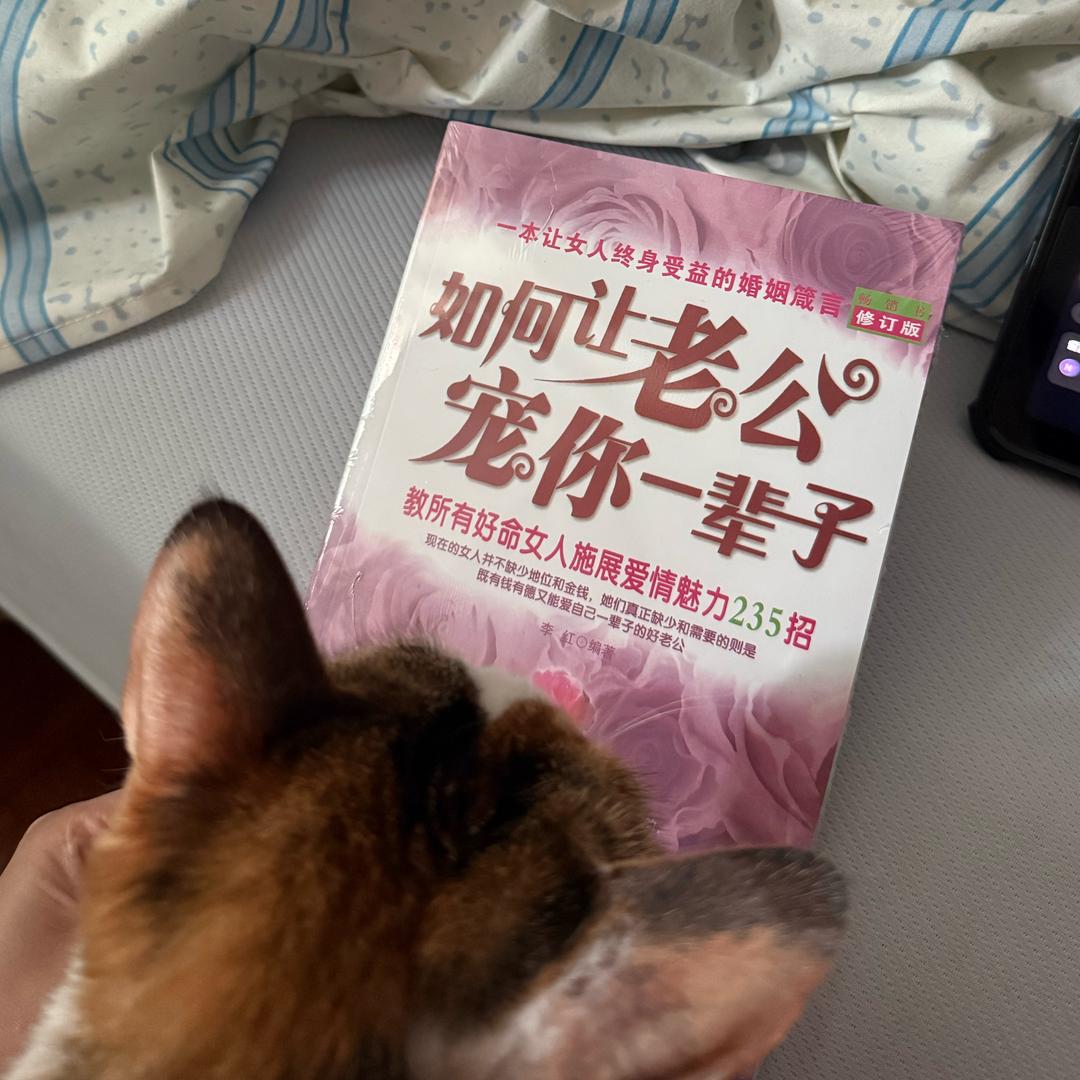 容易受傷的女人