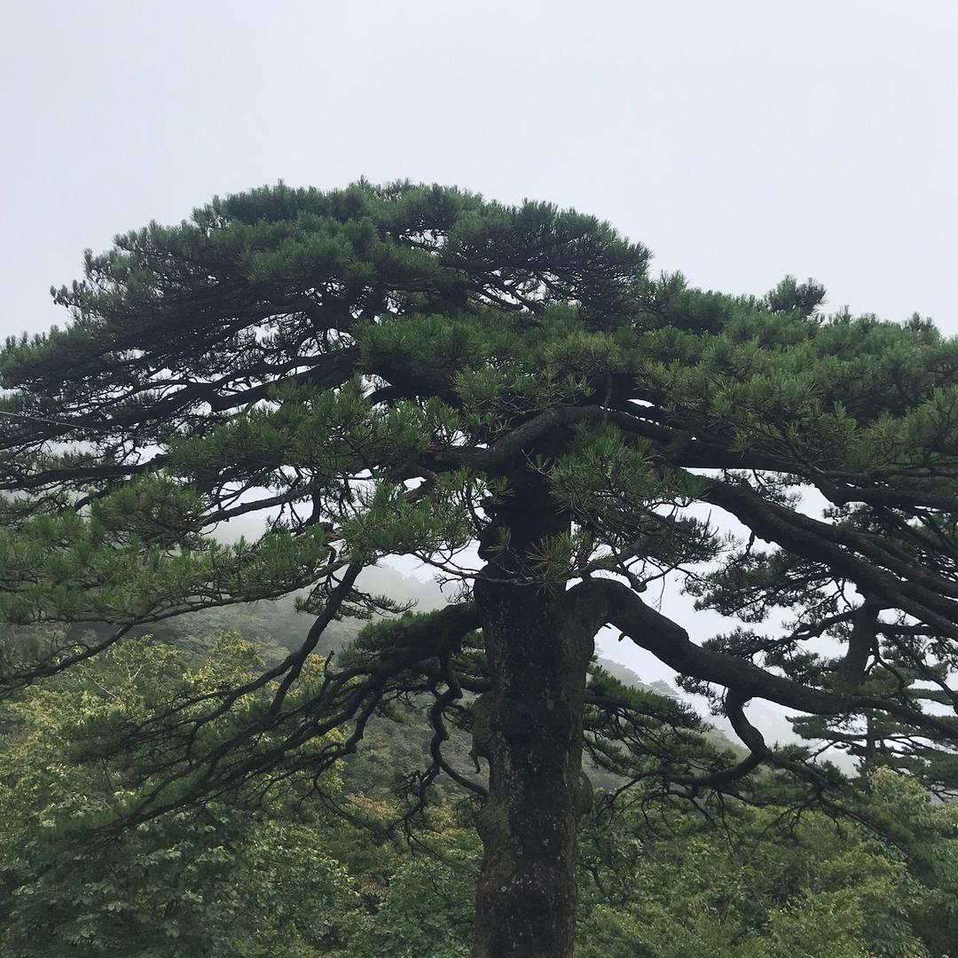 人生就是一场戏。
