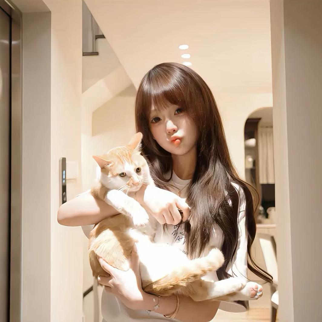 kitty猫
