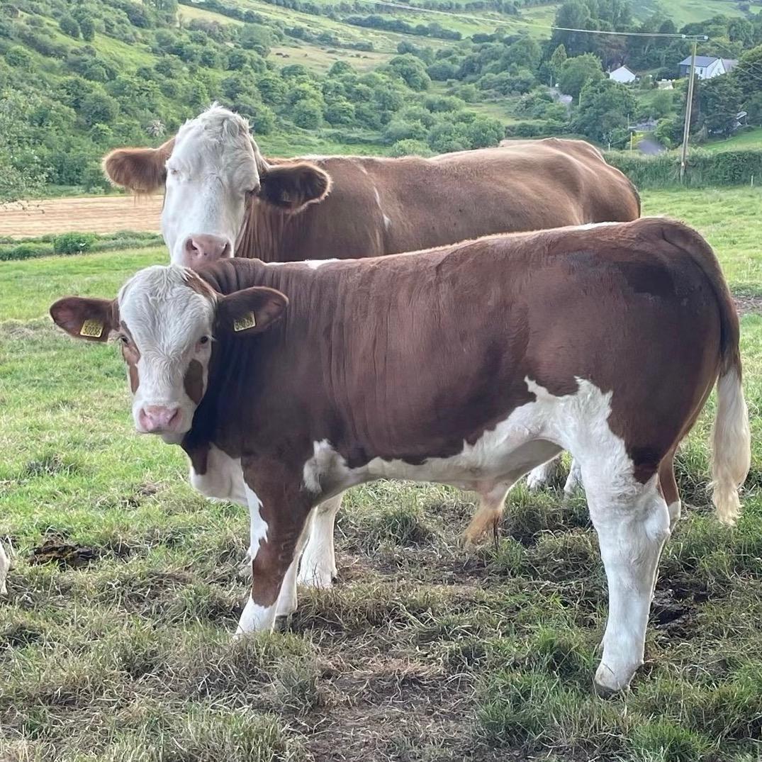 欣牧养殖      小赵