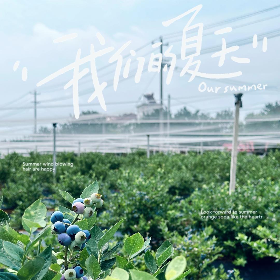 熹野 小院