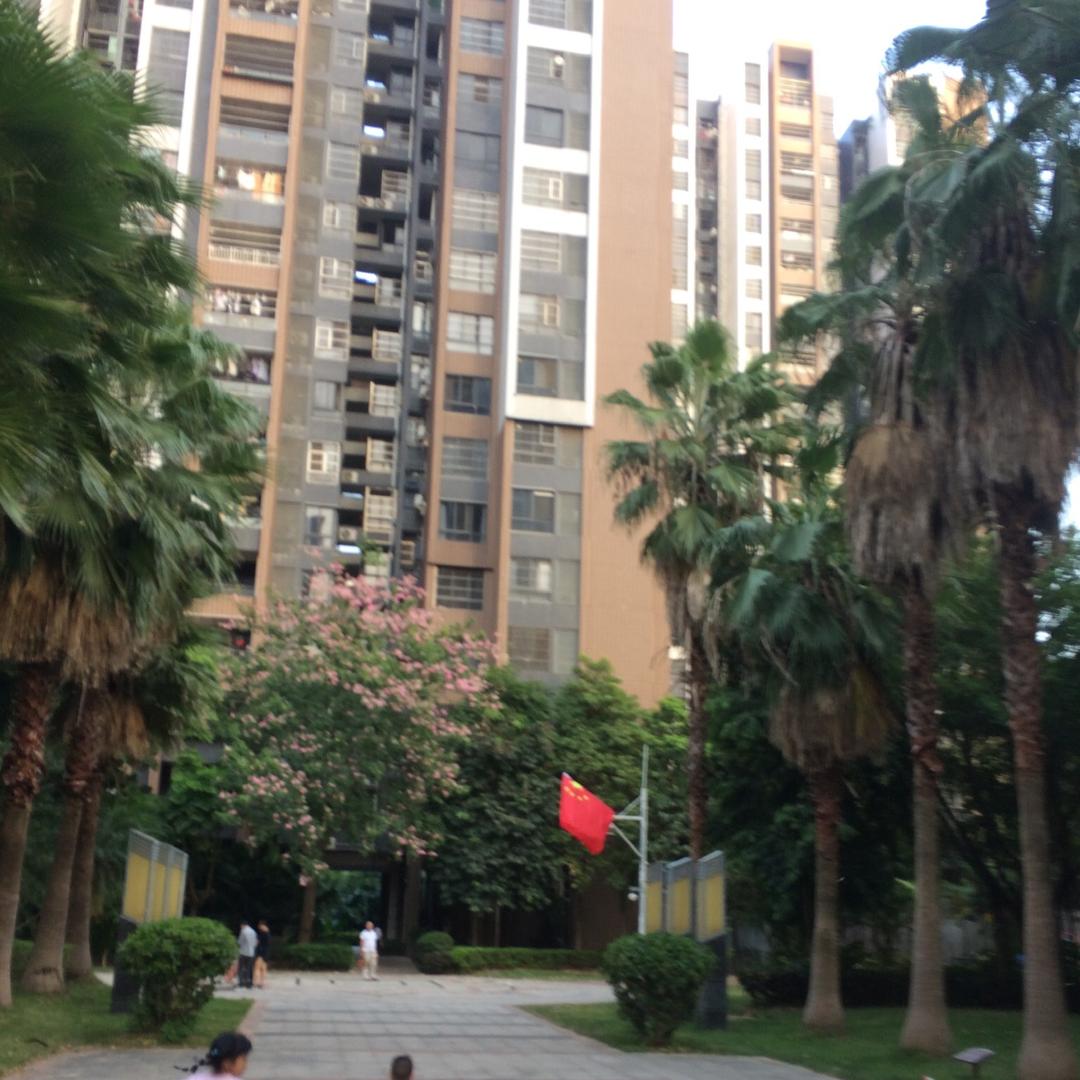 名流一份子。