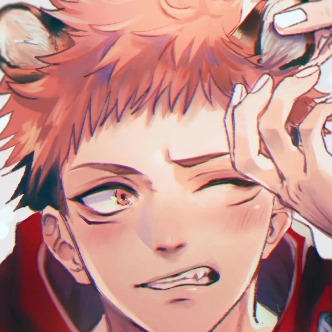 怕冷的猫