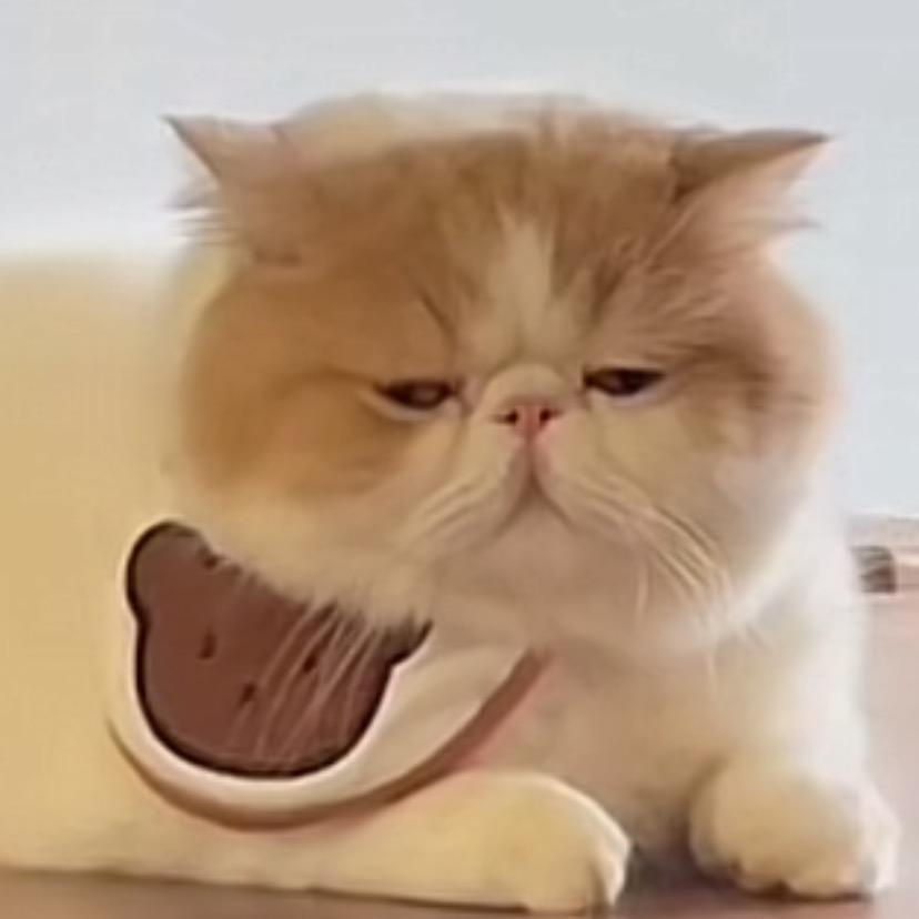 广东🐷叨妹那么脆