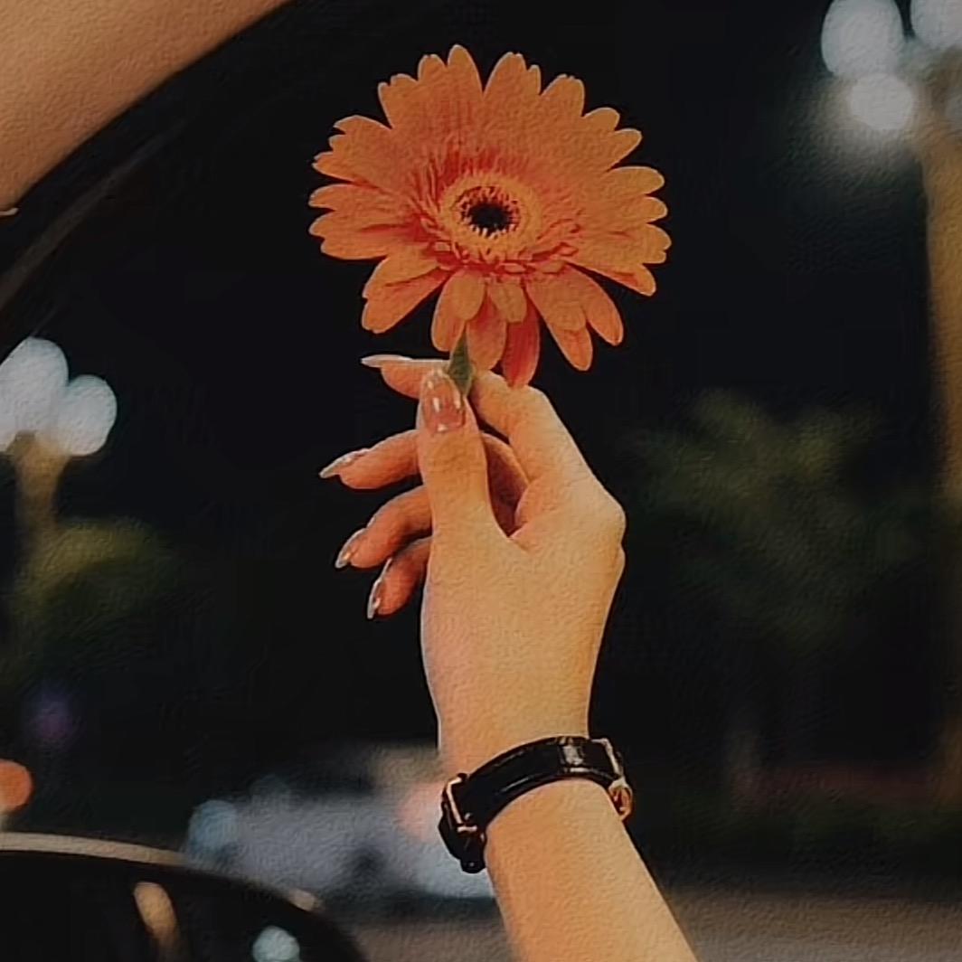 🐒🙍🏼‍♀️🐎