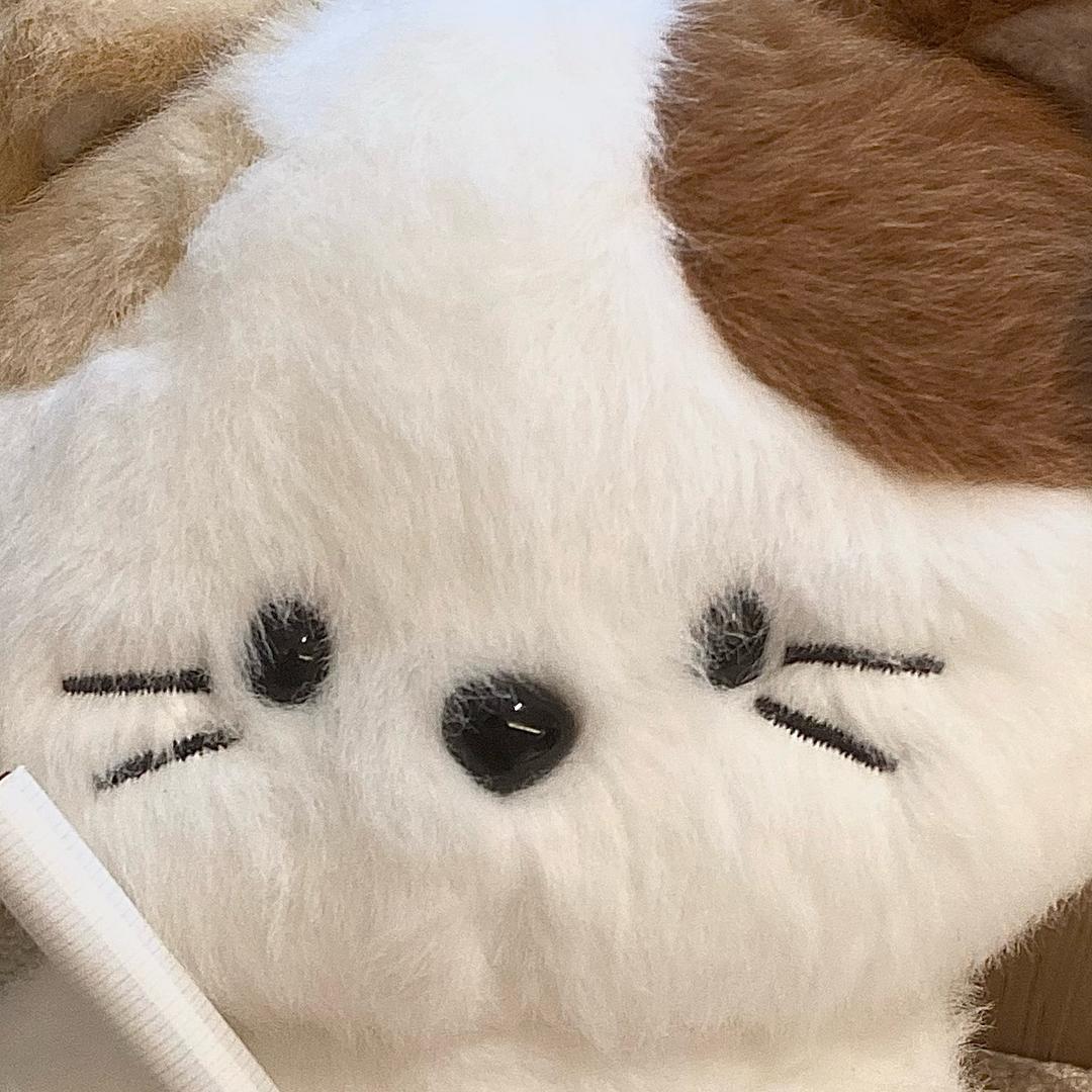 重生之我在“星期六