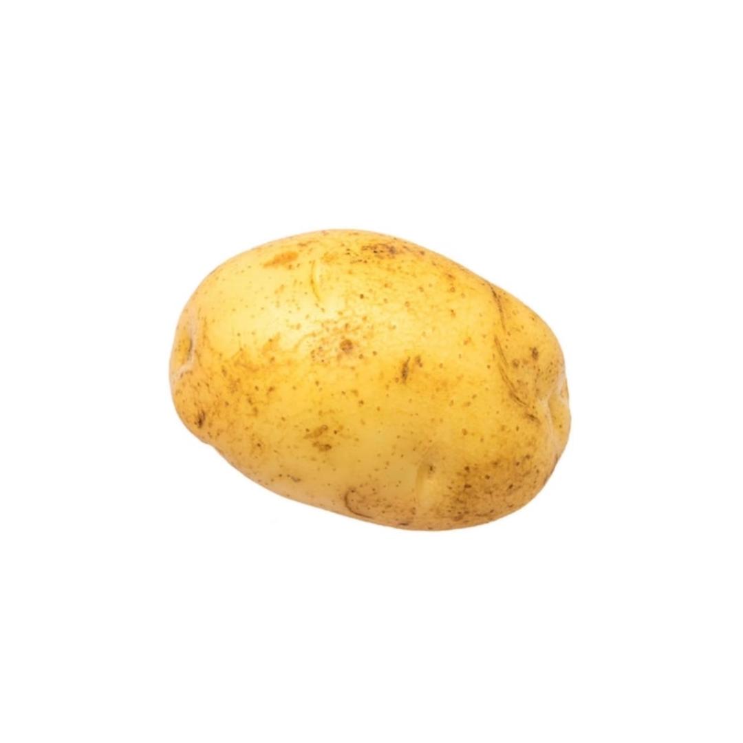 破破的Potato