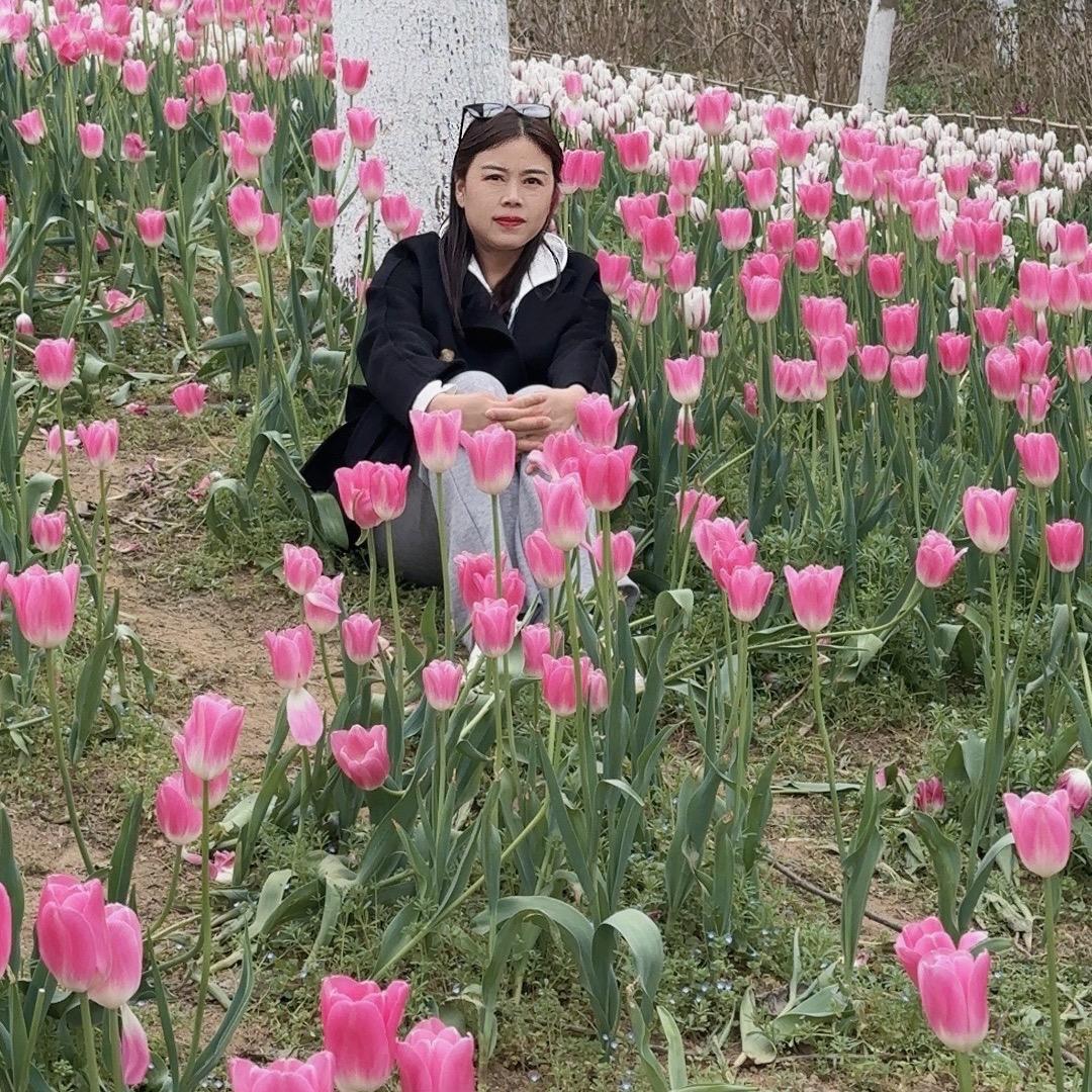75年🐰单身