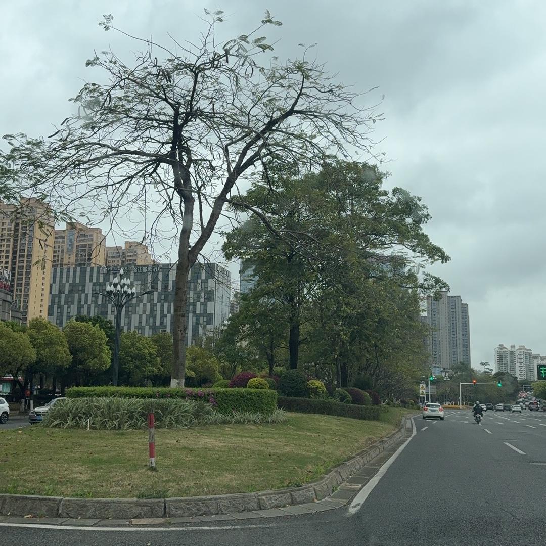 泉州市妙有传媒有限公司