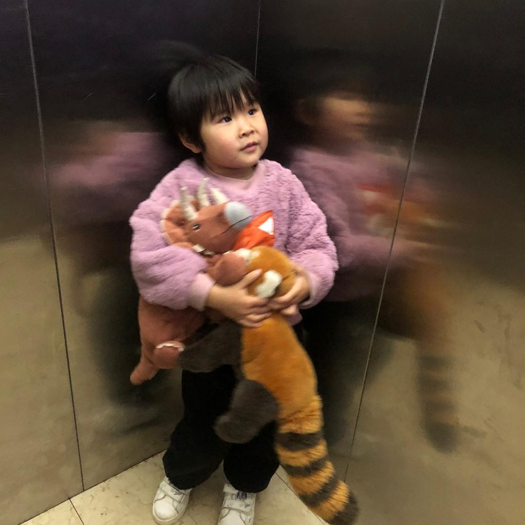 清风明月两小只