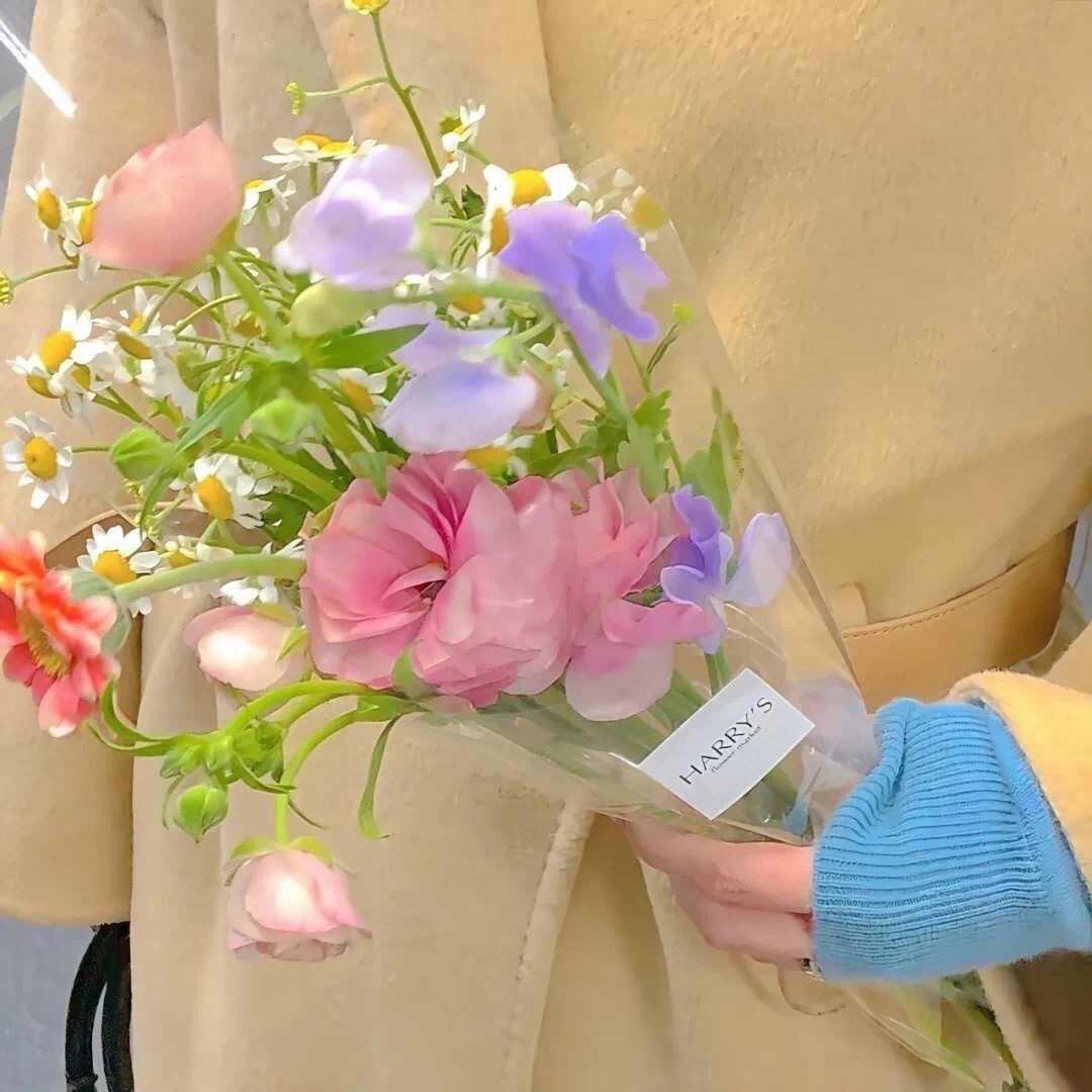 🌸岁月&静好💐
