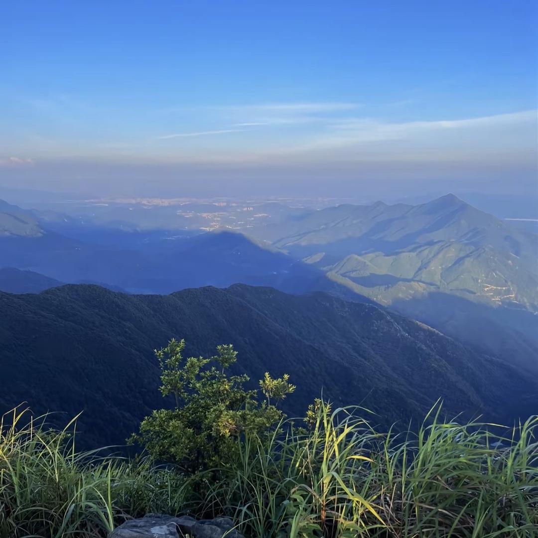 黄山东升茶厂