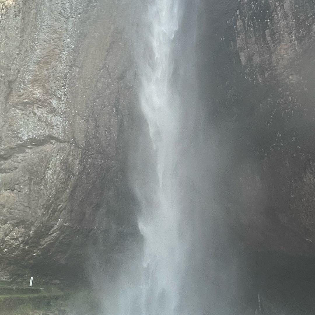 .小蜜蜂🐝🐝🐝