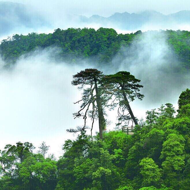 乐研家居
