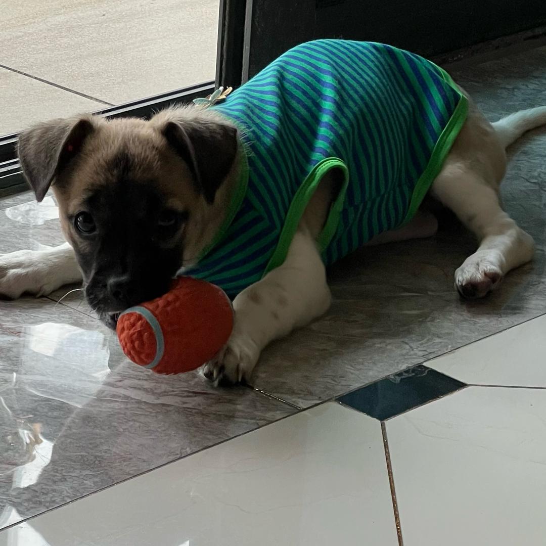 十点就得睡觉 要不然明天太困起不来