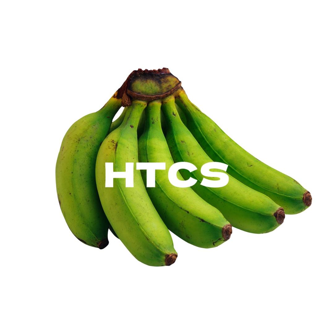HTCS