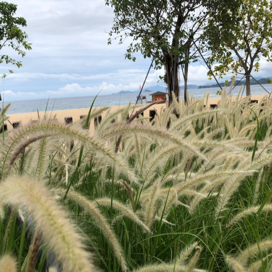 小米之家重庆江津区万达广场专卖店专用号