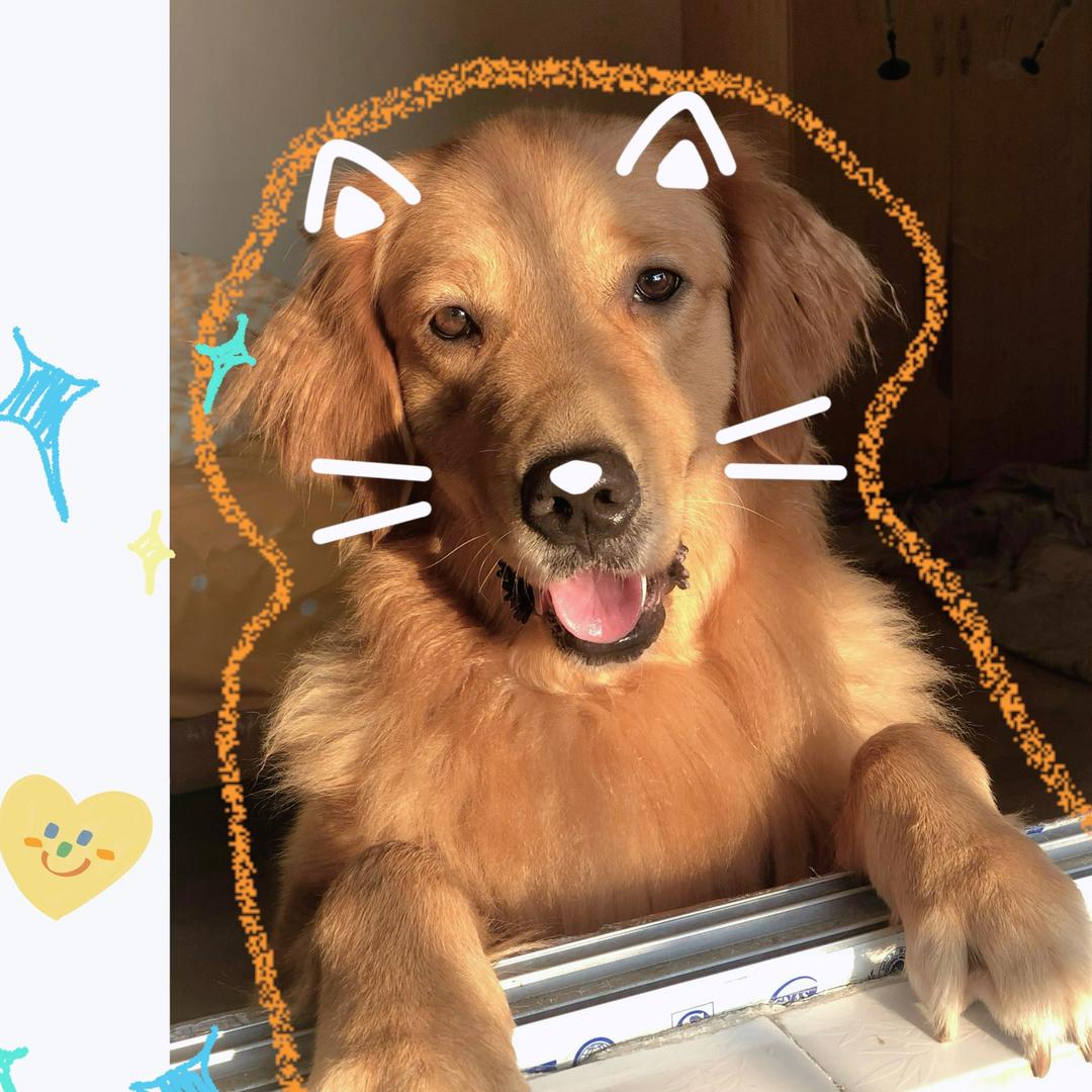 🌈下周见吧