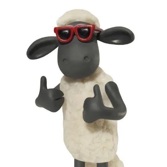 世上再无流浪猫狗