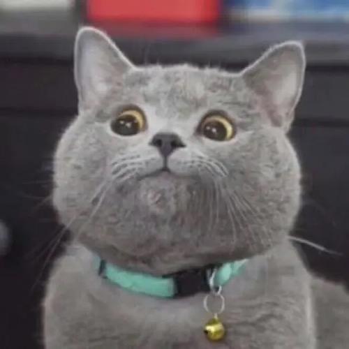 时季酒店官方号